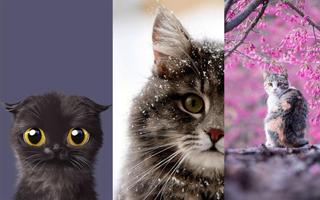 Cat Wallpapers 😺🐈 Plakat