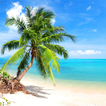 ”Best Beach Wallpapers