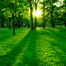 Nature Backgrounds-APK