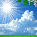 Nature Pictures