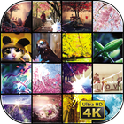 Super HD Wallpapers 4K icône
