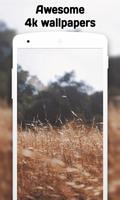 Blur Wallpaper screenshot 3