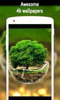 Nature Wallpaper الملصق