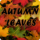 Autumn Leaves APK