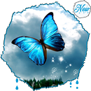 HD Awesome Butterfly Wallpapers - Mariposa APK