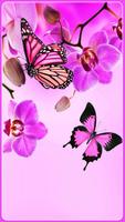 HD Awesome Butterfly Wallpapers - Mariposa 海報