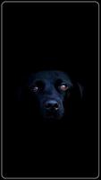 HD Awesome Beagle Wallpapers - Pets Dogs capture d'écran 1