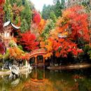 Autumn in Japan Wallpapers HD APK