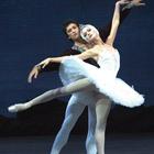 Ballet dancer Wallpapers HD 圖標
