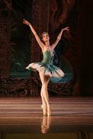 Ballet dancer Wallpapers HD captura de pantalla 2