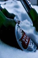 Beer wallpapers HD تصوير الشاشة 2