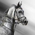 Black White Horse Wallpaper HD आइकन