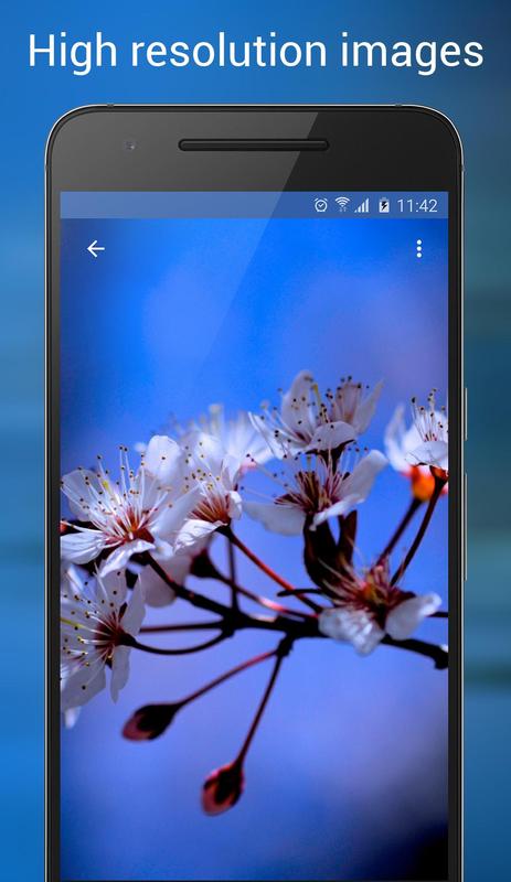  Wallpapers  HD  4K  QHD  images for Android APK Download 