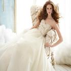 Wedding dress Wallpapers HD icône