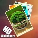 HD Wallpapers And Backgrounds APK