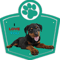 Rottweiler Wallpapers