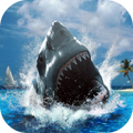 Sharks 2015