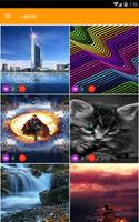 Ultra HD Wallpapers All Phone 截图 1