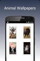 Animal Wallpapers ภาพหน้าจอ 1