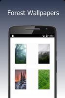 Forest Wallpapers ภาพหน้าจอ 1