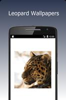 Leopard Wallpapers Plakat