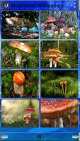 Mushroom Wallpapers capture d'écran 1