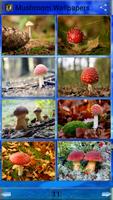 Mushroom Wallpapers Ekran Görüntüsü 2