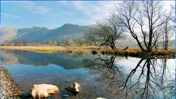 Reflection तस्वीरें पोस्टर