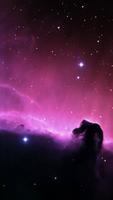 Wallpapers for Samsung S8™ تصوير الشاشة 2