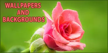 Фоны и Обои для Андроид