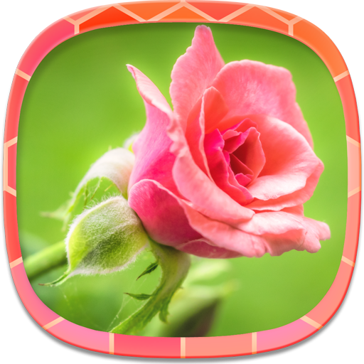 Фоны и Обои для Андроид