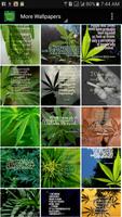Weed Wallpapers and Background الملصق