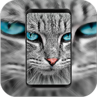 Cute Lovely Cats Wallpapers أيقونة