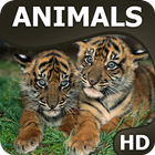 Animals Wallpapers HQ آئیکن
