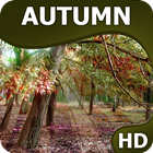 Autumn wallpapers HQ icône