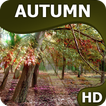 Autumn wallpapers HQ