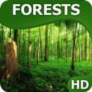 Forêt d'écrans HQ APK