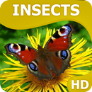 Insects wallpapers HQ APK