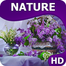 Природа обои HQ APK