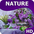 Natura Tapety HQ aplikacja