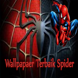 wallpaper spiderman icône