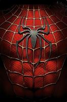 fond d'écran spiderman HD Affiche