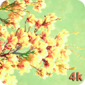 Spring Wallpapers 4K