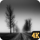 Black and White Realistic Wallpapers 4K APK