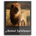 Wild Animal Wallpaper