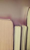 برنامه‌نما Vintage Wallpaper عکس از صفحه