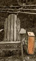 برنامه‌نما Vintage Wallpaper عکس از صفحه