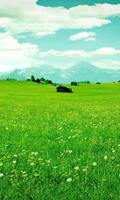 Coole Wallpaper Screenshot 3