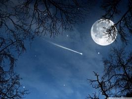 Full HD Wallpaper الملصق