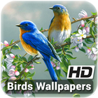 Birds Wallpapers icône